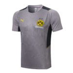 Camiseta De Entrenamiento Borussia Dortmund 2021/22, Gris