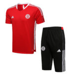 Ropa Deportiva Bayern Múnich 2021/22 Kit, Rojo
