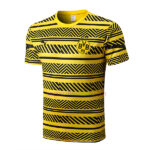 Maillot d’Entraînement Borussia Dortmund 2022/23 Kit jaune shirt