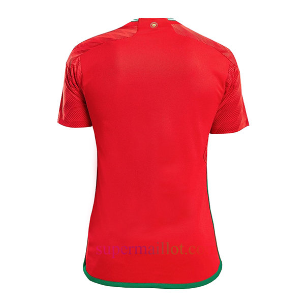 wales-2022-world-cup-home-and-away-kits-8